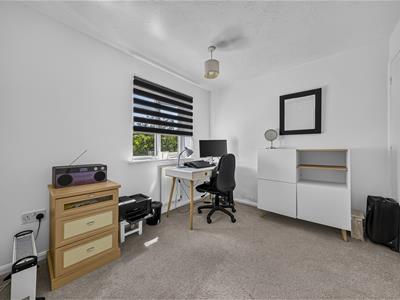 Picture 17